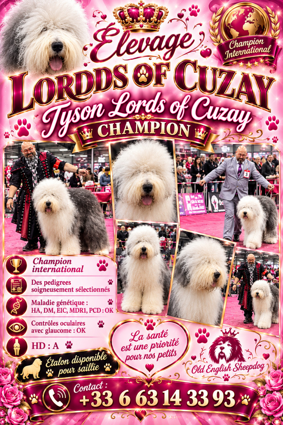 CH. Tyson Lords of Cuzay