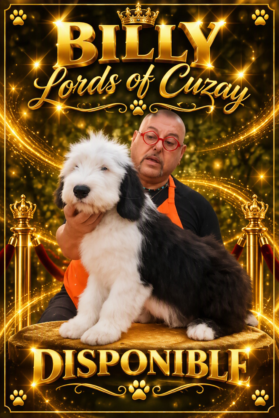 Lords of Cuzay - Chiots disponibles - Bobtail